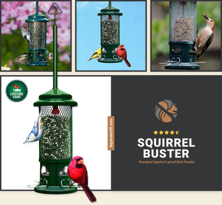 Weight-Sensitive Squirrel Proof Bird Feeders