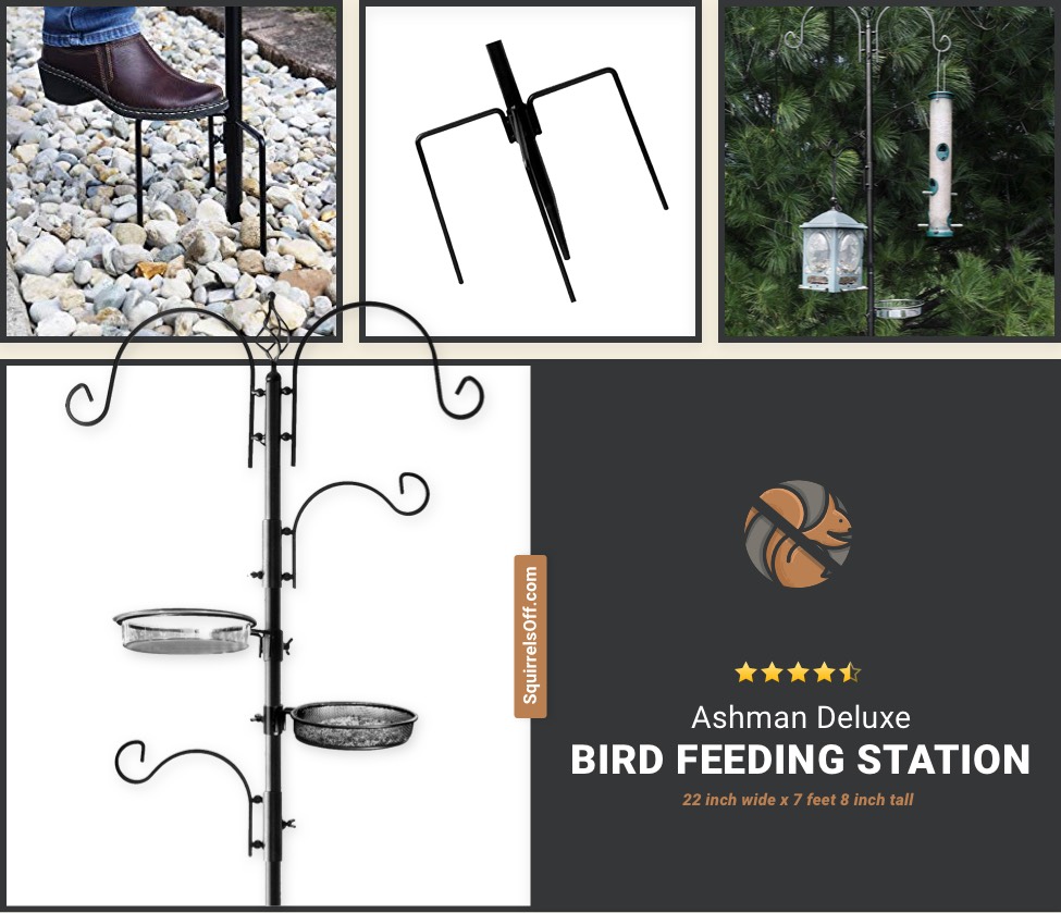 Ashman Deluxe Bird Feeding Station