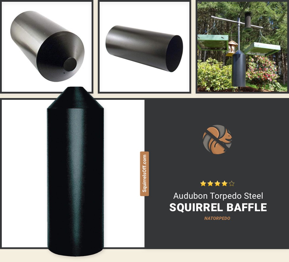 Squirrel Baffle - Top 5 Review - Protect Your Bird Feeder