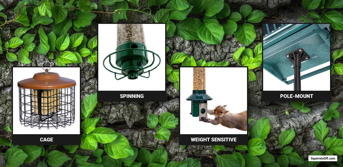 Types Of Squirrel Proof Bird Feeders Cage Weight Sensitive