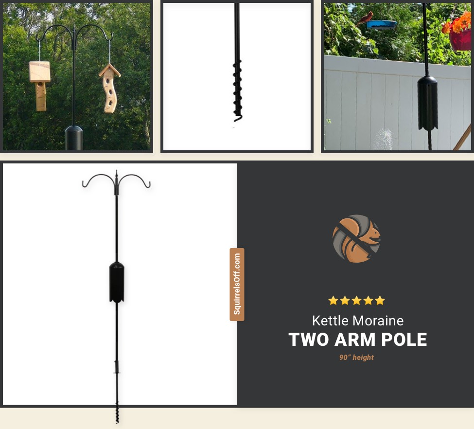 Kettle Moraine Squirrel Proof 2 Arm Bird Feeder