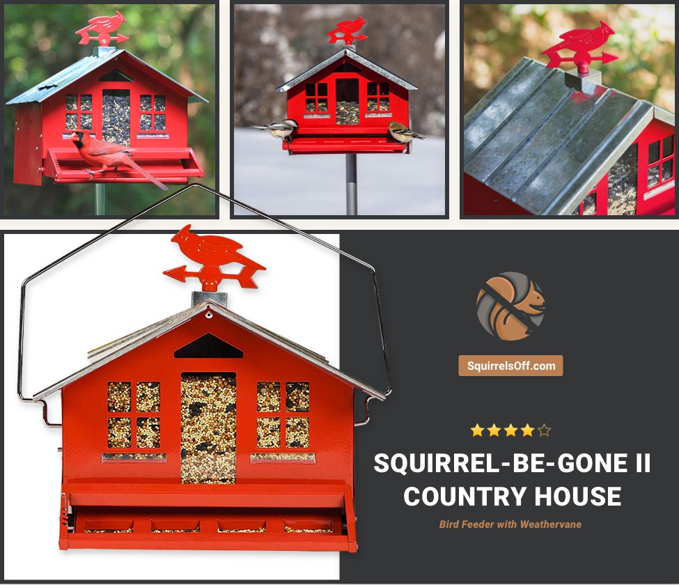 Pole Mounted Squirrel Proof Bird Feeders