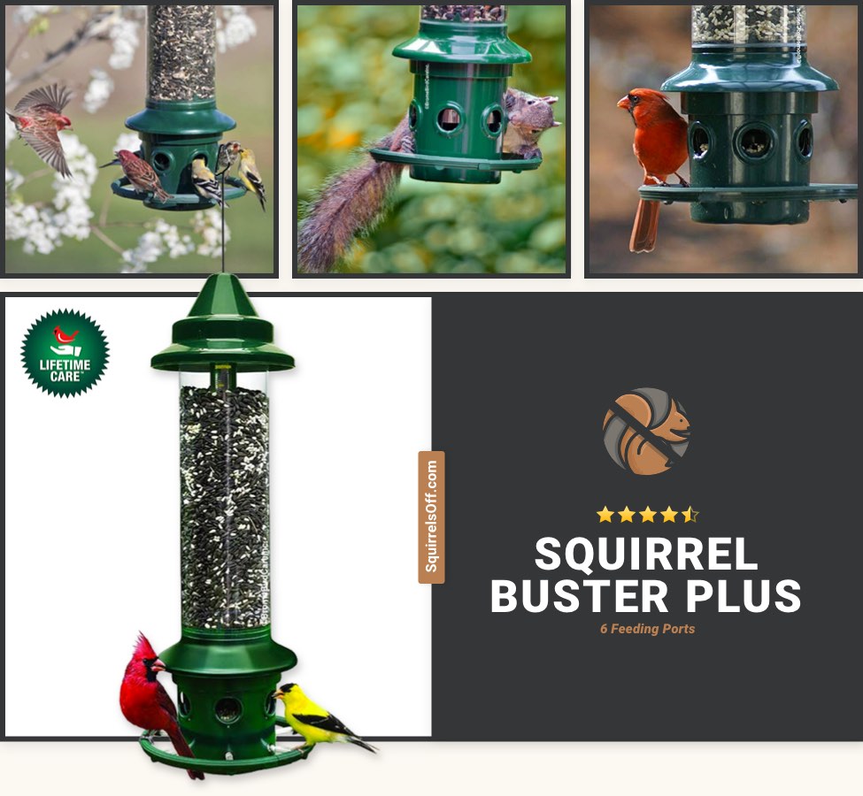 Best Durable Feeder