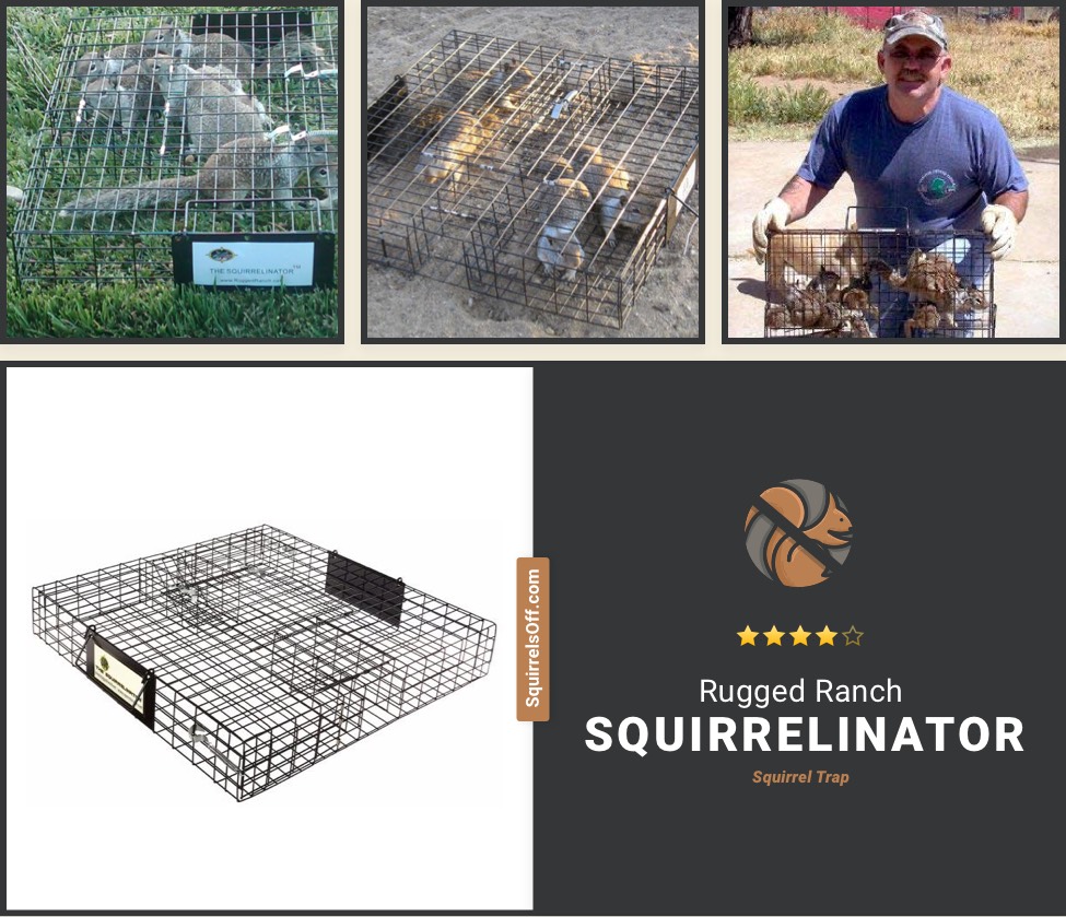 Rugged Ranch Squirrelinator Live Squirrel Trap